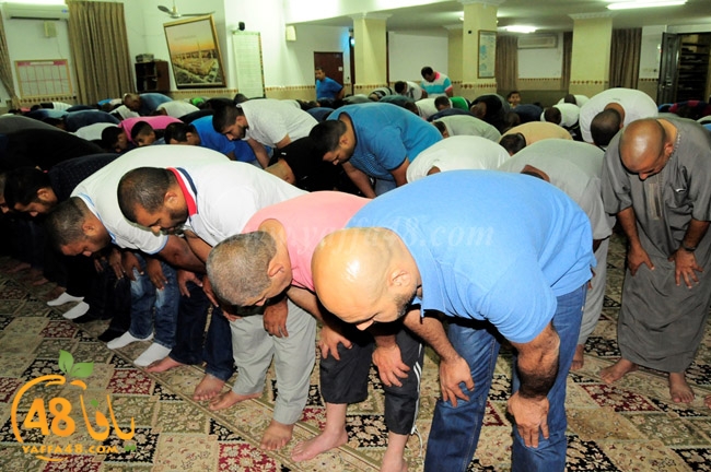 taraweu7 ramla (5).JPG